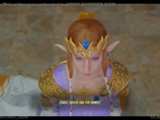 王女 zelda 満たしています 彼女の 新しい 王